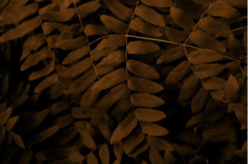Capture d e cran 2015 06 27 a 08 58 32