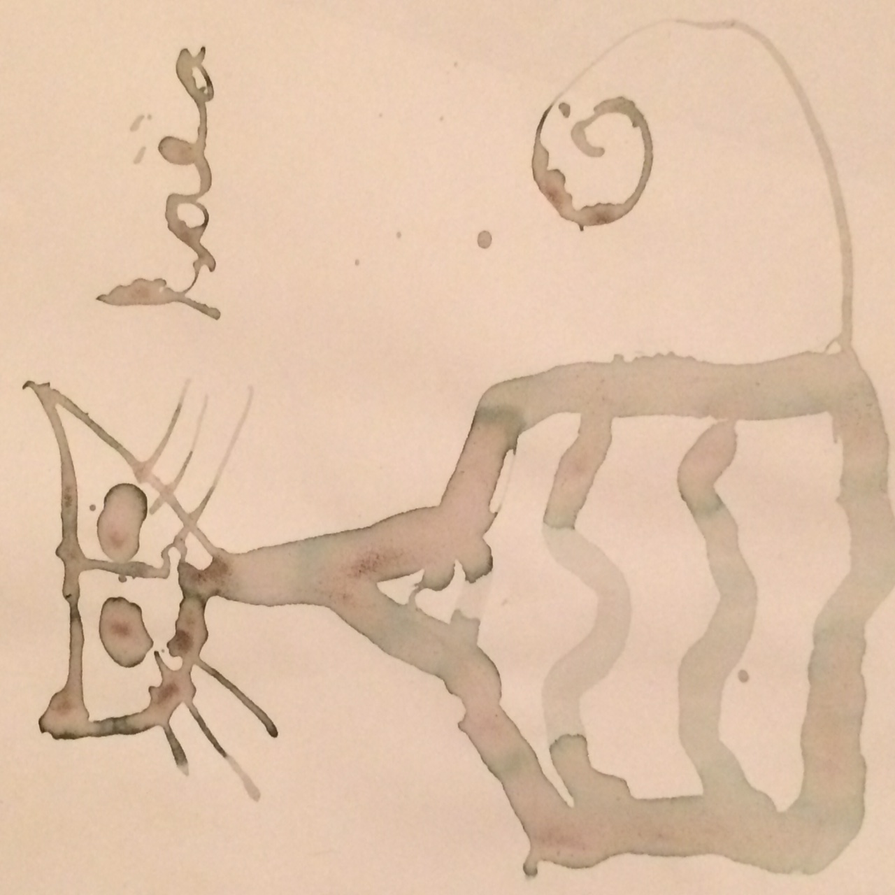 Chat