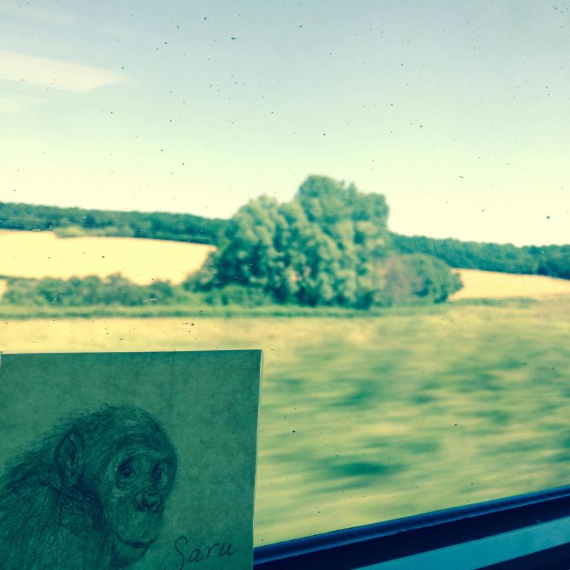 Image 6