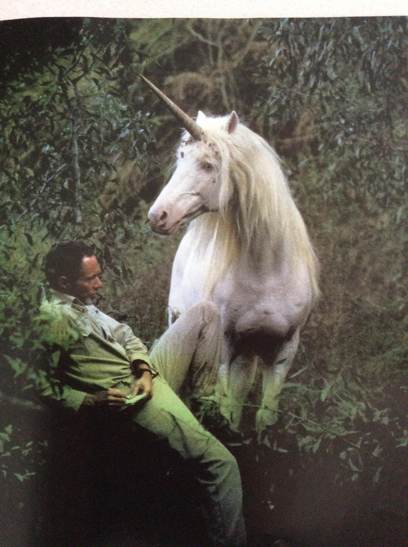 La rencontre